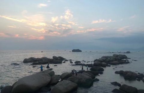 NG体育：新的经营模式应当立足在商业模式之上